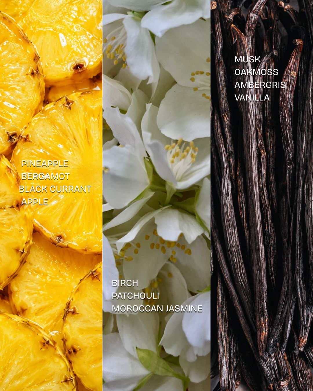 Audace Noire key ingredients