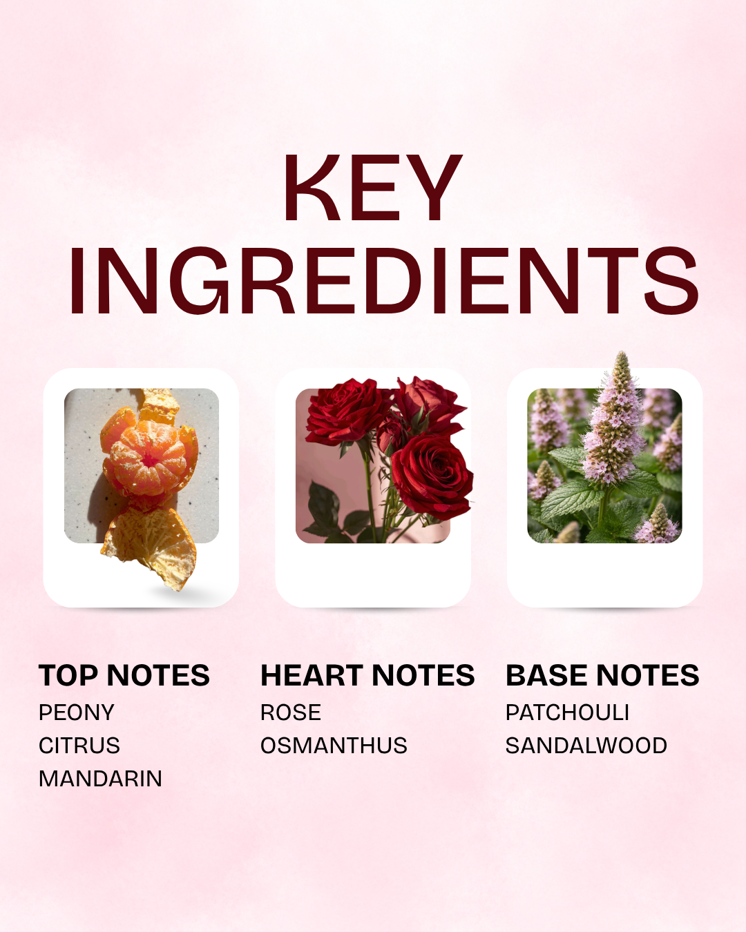Fiori Belle key ingredients